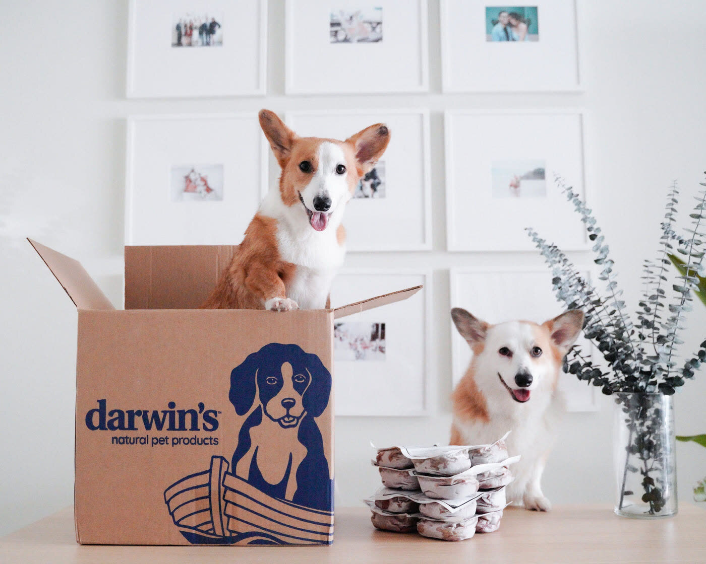 Darwin's, in the world