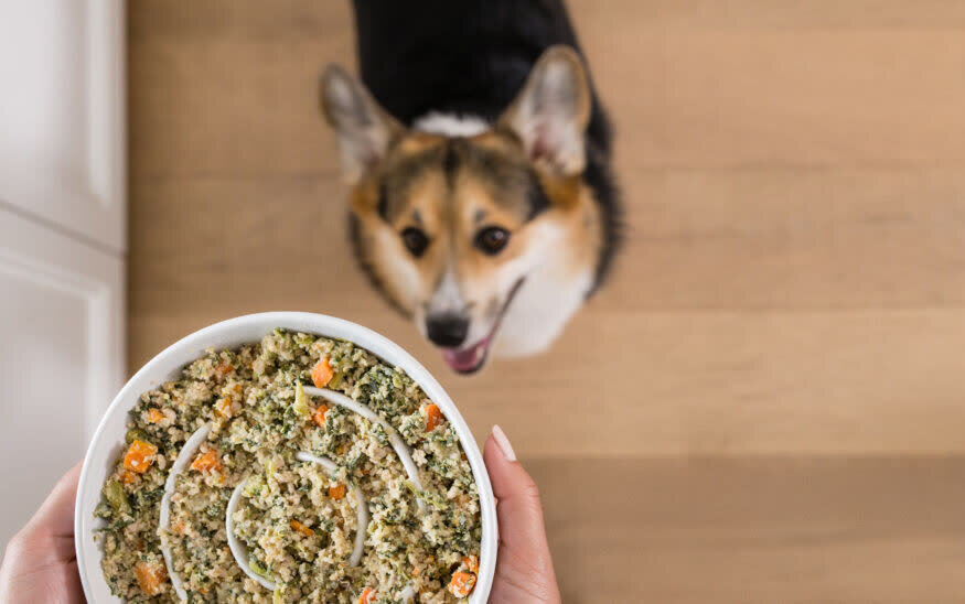 JustFoodForDogs, in the world