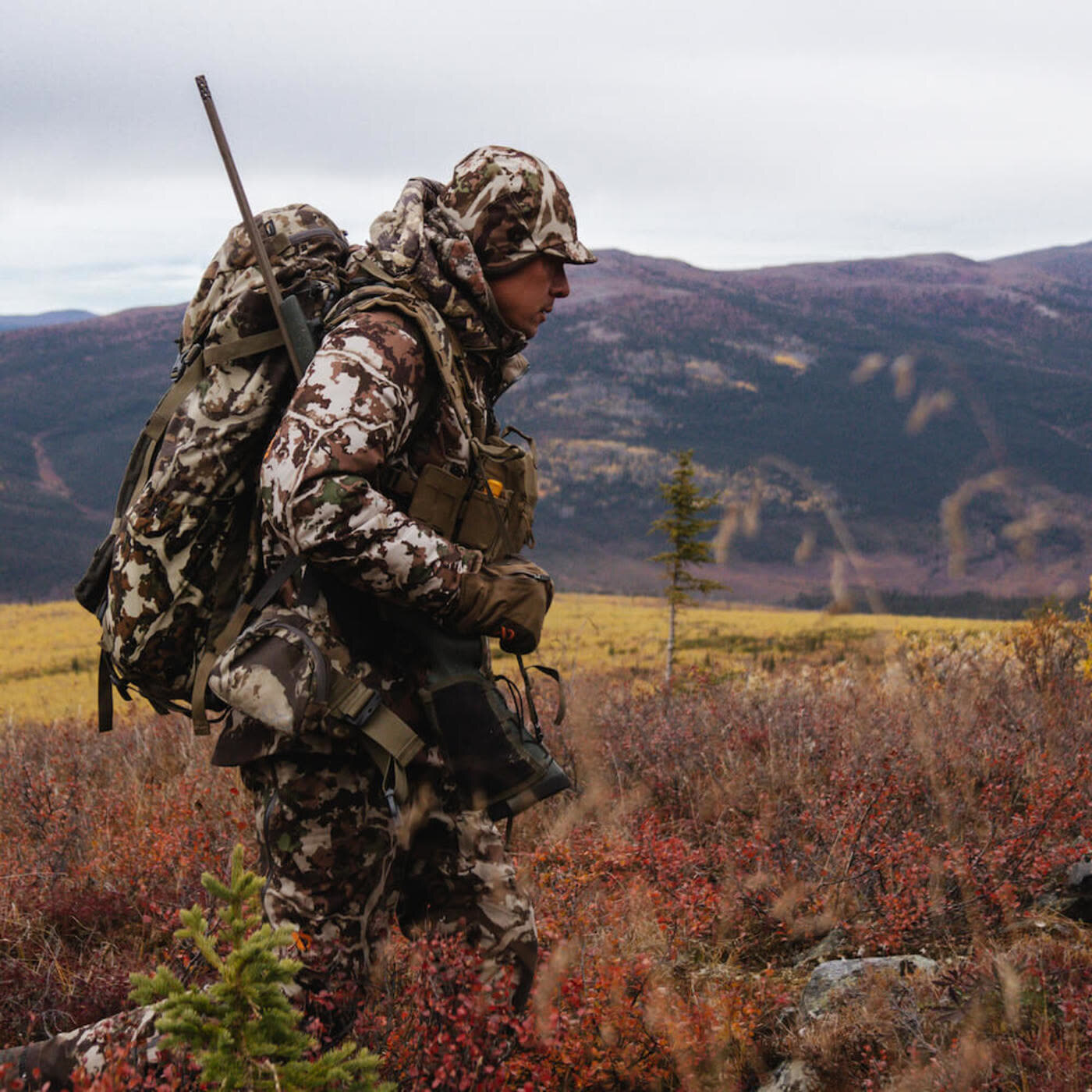 MeatEater, in the world